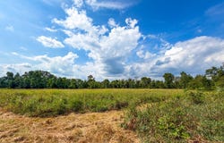 Wadsworth Rd., Wadsworth, OH 44281