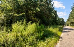 326 Magee Hill Road, Tylertown, MS 39667