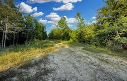 4 Cox Hollow Rd, DOVER, TN 37058