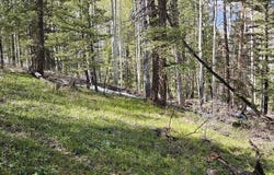 581 Crest Drive, Cimarron, CO 81220