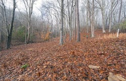 Lot 127 Timber Ridge, Murphy, NC 28906