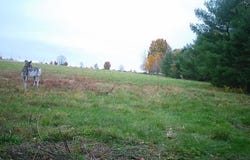 16A Pooler Road, Pittsfield, ME 04967
