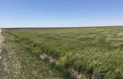 000 E ROAD 250, DIGHTON, KS 67839
