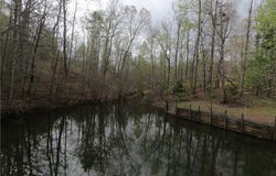 9015 Fairview Church Road, Seneca, SC 29672