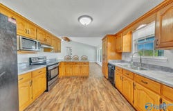 231 Dolphin Point Drive, Langston, AL 35755