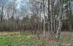 Crestview Drive W, Creston, NC 28615