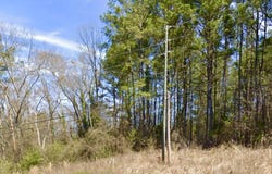 Greenbrier Dear Rd, Anniston, AL 36207