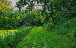 County Road S, Blair, WI 54616