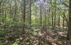 Cherokee Village, AR 72529