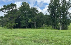 00 Slade Woodward Rd, Poplarville, MS 39470