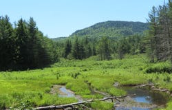 369 Upper Jay-Trumbulls Corners Road, Jay, NY 12941