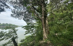 Lot 5 & 6 Lafon Road, Bath Springs, TN 38311