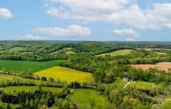 6299 Richardsville Road, Bowling Green, KY 42101
