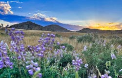0 Monument Creek Road Road, Hanna, WY 82327