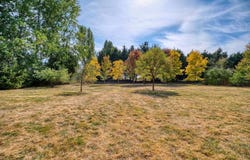 1850 Edwards Drive, Point Roberts, WA 98281