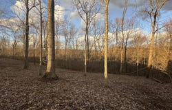 0 Lot #6 Nicholas Ridge Road, Verona, KY 41092