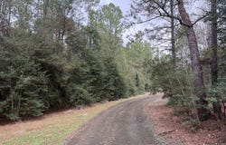 Black Squirrel Road E, Brookeland, TX 75931