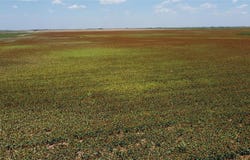 359 Acres CR 164, No City, TX 79521
