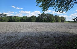 0 Lee-Johnson Road, Dunn, NC 28334