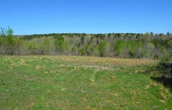 00 Gutter  RD, Harriet, AR 72639