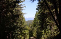 NHN Patrick Creek Road, Kalispell, MT 59901