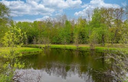 11050 THIRTEEN MILE ROAD, BEAR LAKE, MI 49614