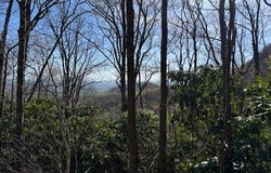 Tbd Buck Hollar Rd., Hillsville, VA 24343
