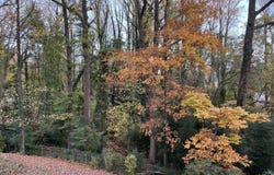 7530 ROYCE COURT, ANNANDALE, VA 22003