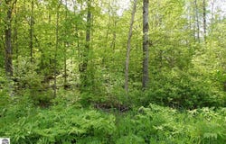 3882 S 5 1/2 Road, Harrietta, MI 49638