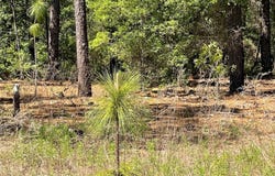 Lot 25 SW 21ST PLACE, OCALA, FL 34481