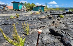 Pahoa, HI 96778