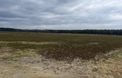 Centerville Rd., Latta, SC 29565