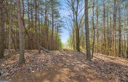 0 Eagle Ridge, Cleveland, GA 30528