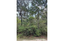 Delegal Drive NE lot: 63, Townsend, GA 31331