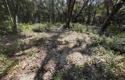 NE 37TH Street, SILVER SPRINGS, FL 34488