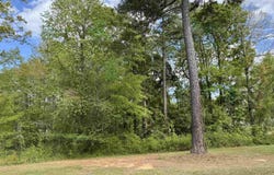 200 Clubside Drive, Lexington, SC 29072