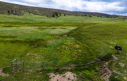 816 Meadow Way, Livermore, CO 80536
