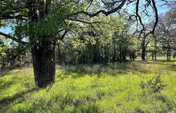 Lot 13 CR 127, Carlton, TX 76436