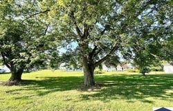 Lot 23,24 E Hampton Avenue, Farmersburg, IN 47850