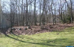 DEVILS BEND lot: 6, NELLYSFORD, VA 22958