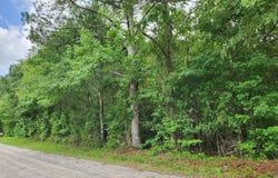 Barton Bridge Road lot: 6, Monroe, GA 30655