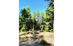 Los Griegos Lot 8-A Road, Jemez Springs, NM 87025