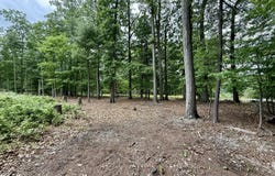 ROADARMEL Lane, Paxinos, PA 17860
