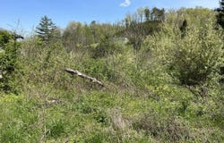 654 Napier Hollow Road, Manchester, KY 40962