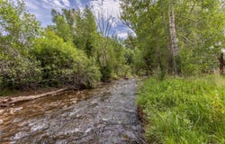 7080 County Road 110, Salida, CO 81201