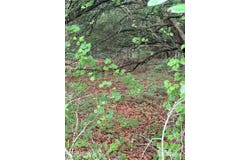 North, SC 29112