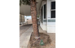 1535 W Thatcher Blvd, Safford, AZ 85546