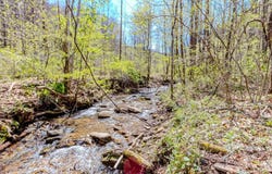 Martin Creek Rd, NAOMA, WV 25140