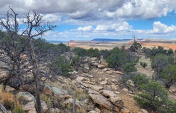Red Rock Ranches lot: 17, Prewitt, NM 87345