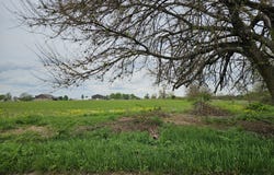 Tract 2 Lawrence 2175, Aurora, MO 65605